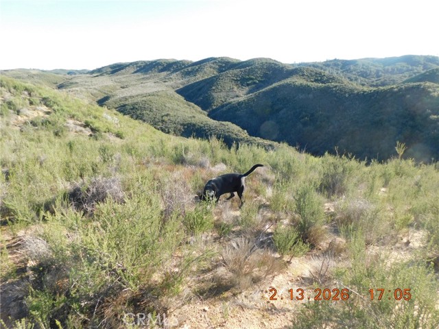 Detail Gallery Image 2 of 68 For 0 Stage Coach Rd Rd, Santa Margarita,  CA 93453 - – Beds | – Baths