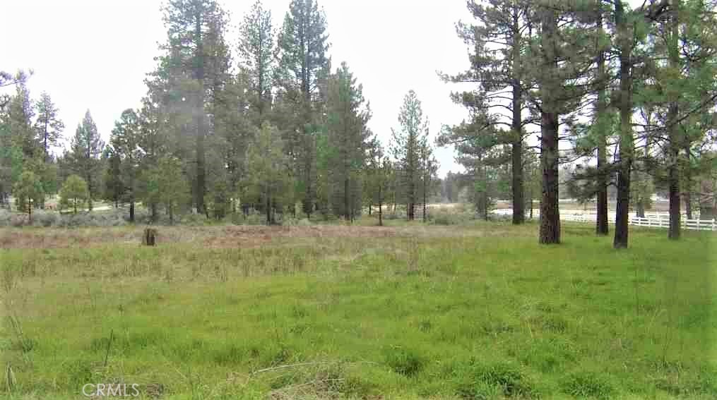 0 Horse Canyon Road, Mountain Center, CA 92561