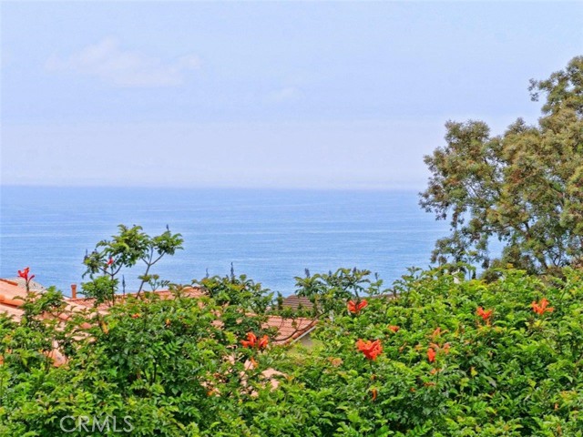 View from Corner Bedroom