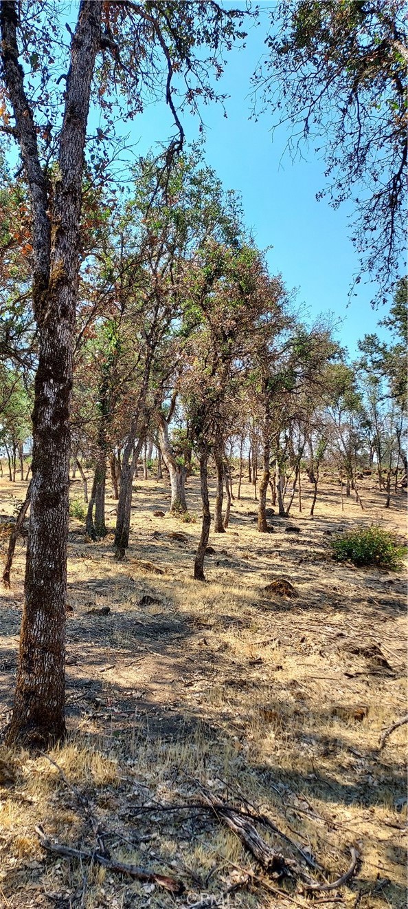 16034 13th Avenue, Clearlake CA: https://media.crmls.org/medias/ae7cef9e-78c2-4099-bd87-cc5f46380bbb.jpg