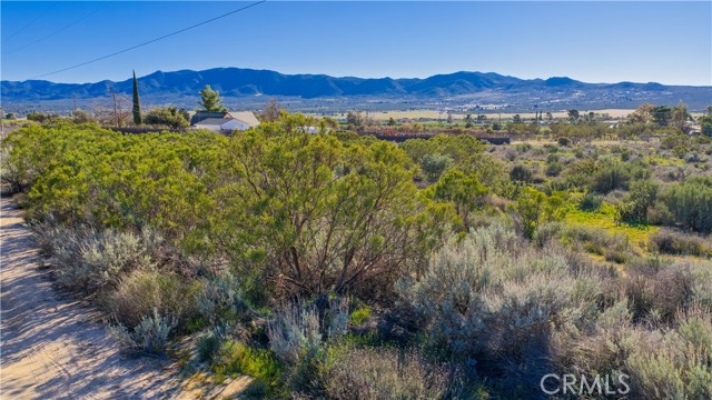 Detail Gallery Image 54 of 71 For 1 Apple Rd, Anza,  CA 92539 - – Beds | – Baths