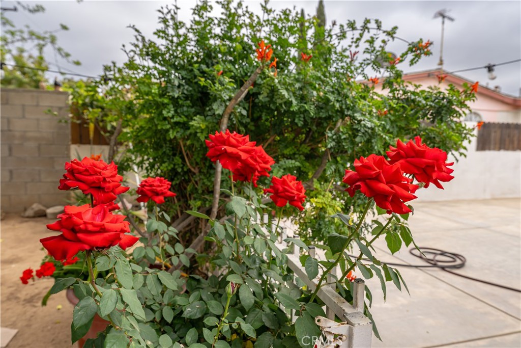 https://media.crmls.org/medias/ae7eaaed-7564-45ad-bacc-b8cb025e277b.jpg?preset=X-Large