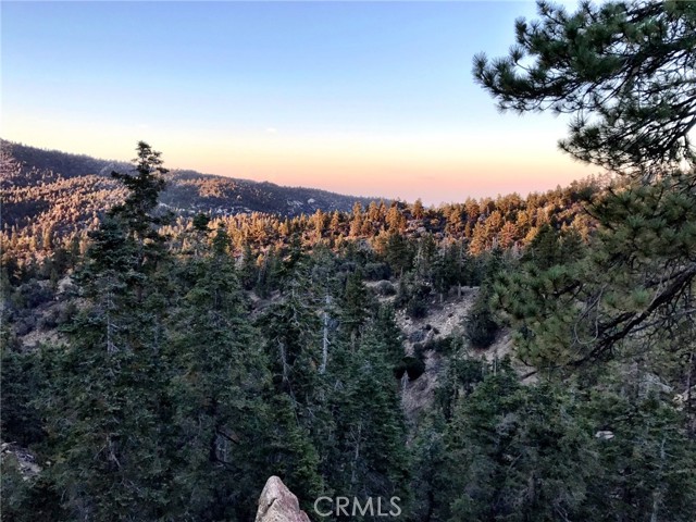 0 Rainbow Lane, Angelus Oaks CA: https://media.crmls.org/medias/ae84c614-b38e-4a5b-a807-87c7b1f2a588.jpg