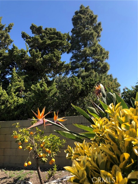 28312 Lunada Ridge Drive, Rancho Palos Verdes, California 90275, 5 Bedrooms Bedrooms, ,1 BathroomBathrooms,Residential,Sold,Lunada Ridge,SB22045848