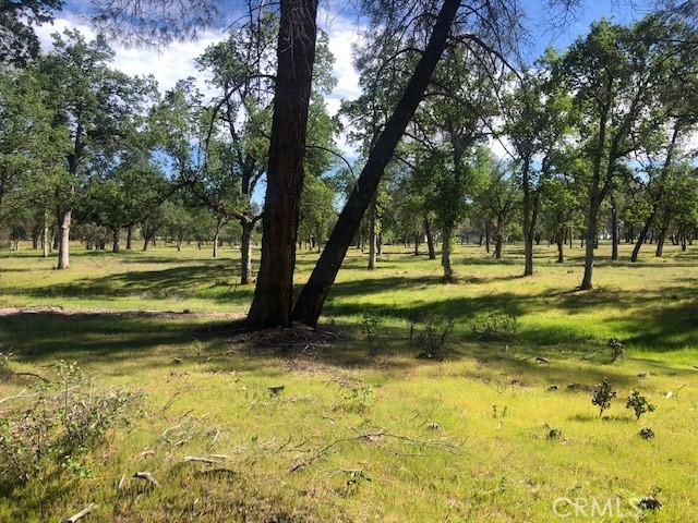 0 Cloverdale Road, Anderson, California 96007, ,Land,For Sale,0 Cloverdale Road,CRSN22122985