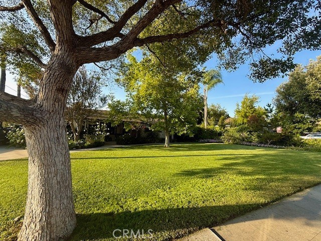 Front Image Thumbnail for CRIV26136948