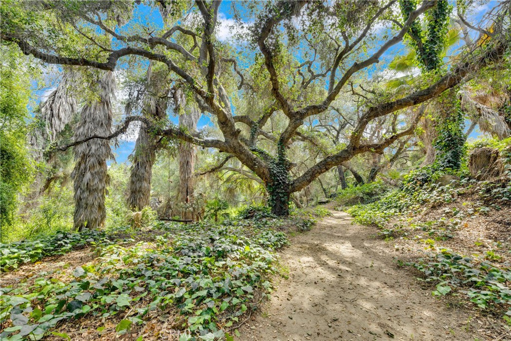 https://media.crmls.org/medias/aeab4560-eb40-451d-9f71-31e60e22128d.jpg?preset=X-Large