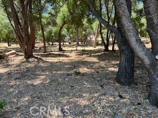 7872 Soda Bay Road, Kelseyville CA: https://media.crmls.org/medias/aebb60f5-2138-414f-ae08-437638f27e23.jpg