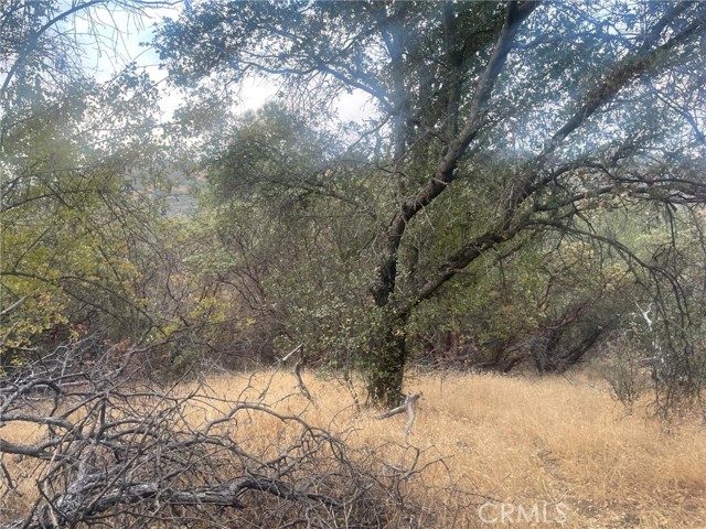 Detail Gallery Image 9 of 19 For 43020 Apache Ranch Rd, Ahwahnee,  CA 93601 - – Beds | – Baths