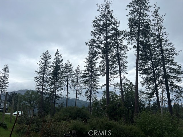 Image 3 of 6 For 11210 Greenaway Court