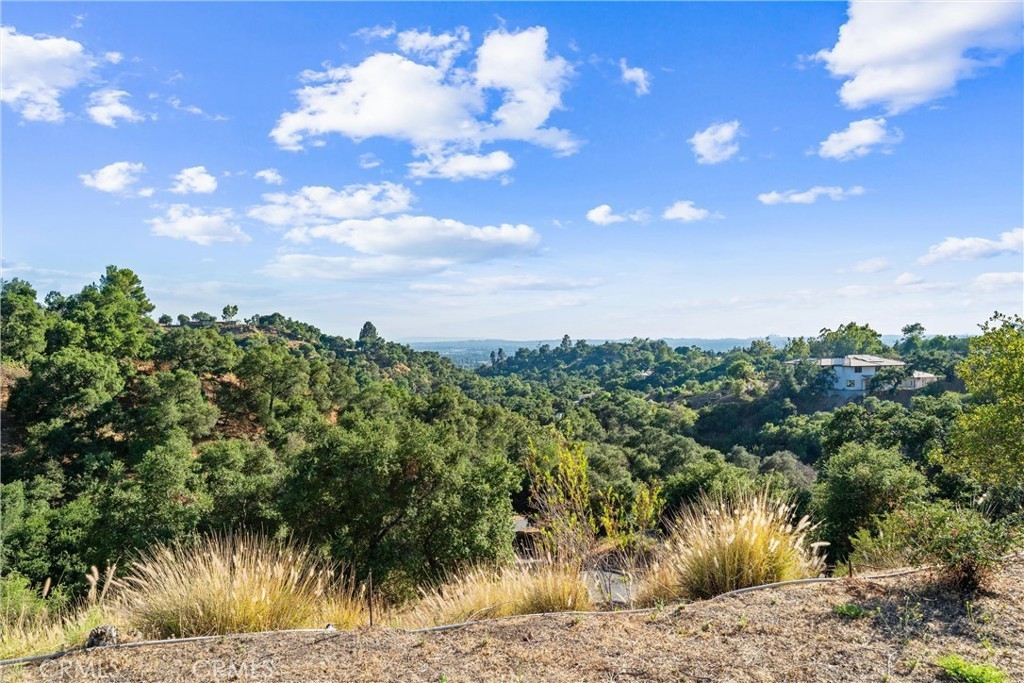 MLS #TR26004015 image #12