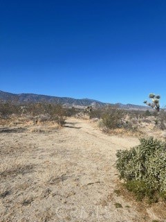 0 Pine Tree Road, Pinon Hills CA: https://media.crmls.org/medias/aed3ee70-8d24-4456-a009-58fa19808001.jpg