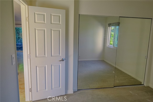 Main bedroom closet & mirror