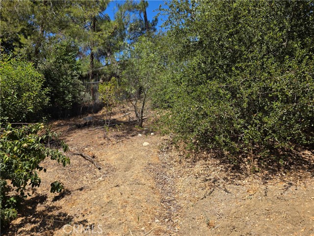 Detail Gallery Image 7 of 12 For 23311 Valdez Rd, Topanga,  CA 90290 - – Beds | – Baths