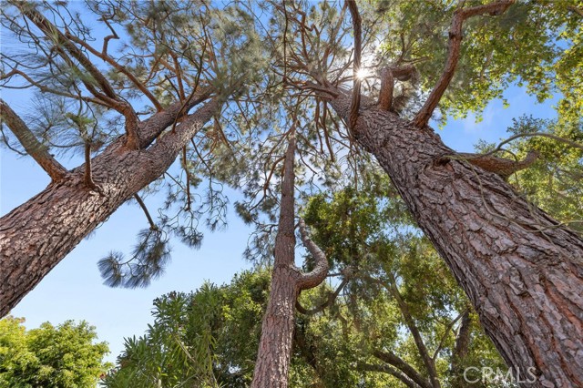 1579 Via Parque, Thousand Oaks CA: https://media.crmls.org/medias/aedc4dfc-4075-4d9e-aa0e-7f5628b7364f.jpg