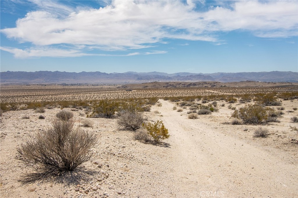 MLS #JT25181057 image #5