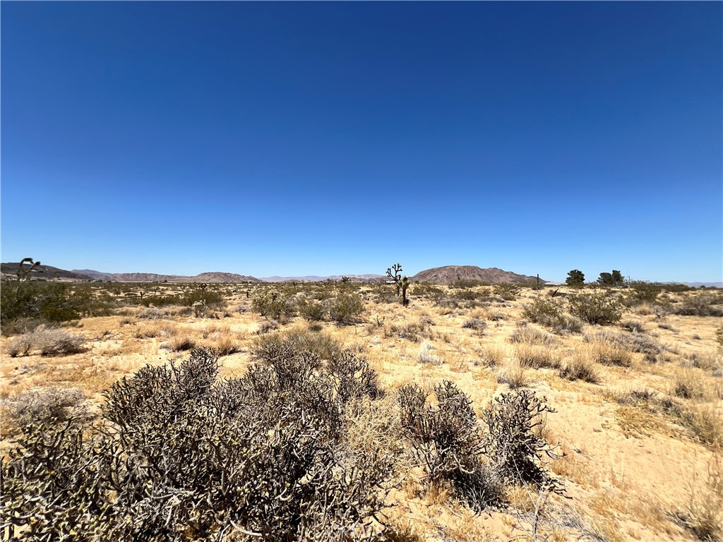 MLS #SW24134801 image #9