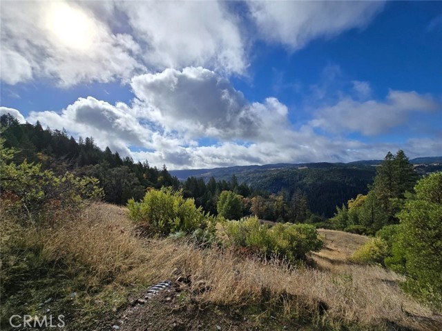 Detail Gallery Image 7 of 38 For 32120 Shimmins Ridge Rd, Willits,  CA 95490 - – Beds | – Baths