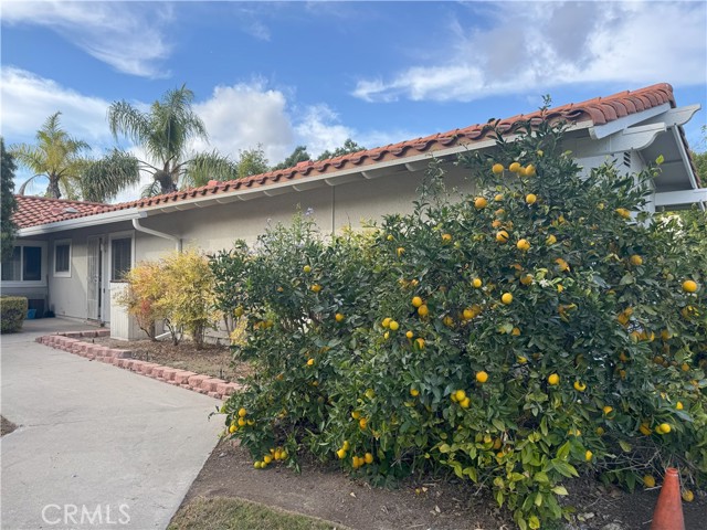 Detail Gallery Image 4 of 18 For 2039 via Mariposa E #C,  Laguna Woods,  CA 92637 - 2 Beds | 2 Baths