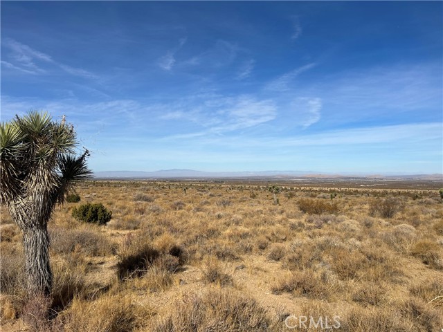 Detail Gallery Image 31 of 36 For 0 X8 Vac Corner Ave#Drt, Llano,  CA 93544 - – Beds | – Baths