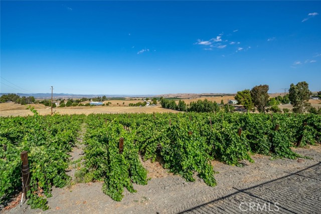 Detail Gallery Image 20 of 74 For 6172 Hawk Ridge Place, Paso Robles,  CA 93446 - 4 Beds | 3/1 Baths