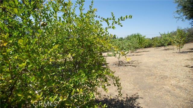 Detail Gallery Image 57 of 75 For 12145 Twin Springs Rd, Descanso,  CA 91916 - 4 Beds | 2 Baths