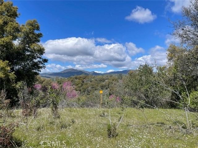 Detail Gallery Image 1 of 14 For 0 77.73 Ac Two Hills Rd, North Fork,  CA 93643 - – Beds | – Baths