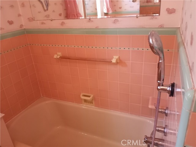 Main Bathroom Tub