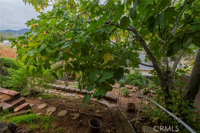 Detail Gallery Image 50 of 75 For 6367 Woodman, Oroville,  CA 95966 - 3 Beds | 2/1 Baths