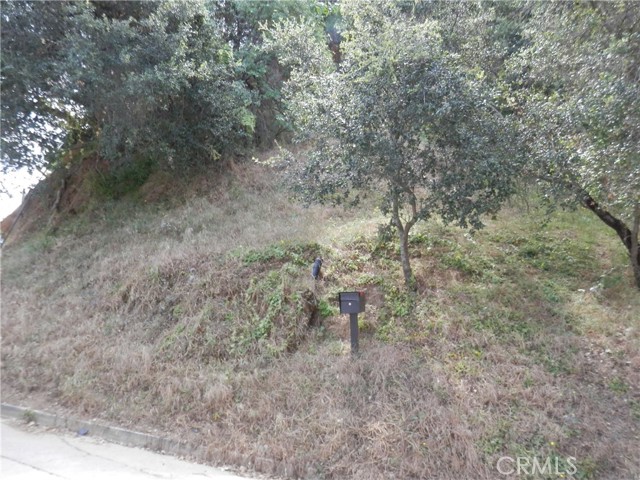 Front Image Thumbnail for CRPW26088327