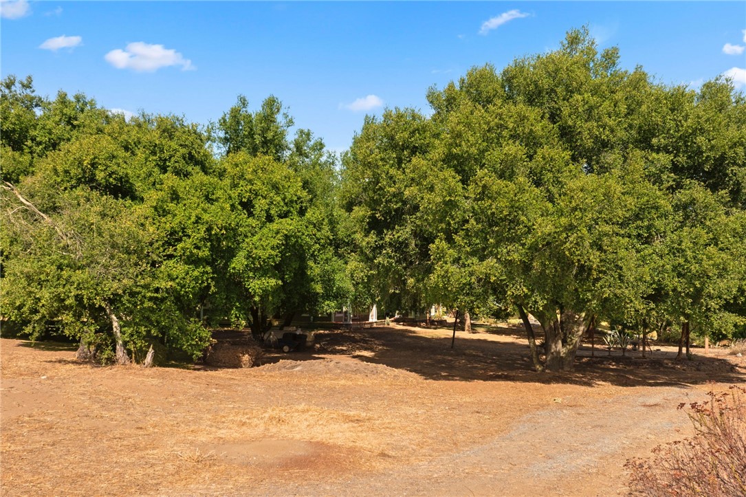 Detail Gallery Image 67 of 74 For 45300 De Portola Road, Temecula,  CA 92592 - 4 Beds | 3/1 Baths