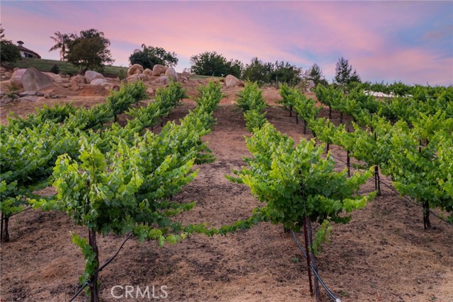 Detail Gallery Image 35 of 75 For 38280 via Majorca, Murrieta,  CA 92562 - 7 Beds | 7/2 Baths