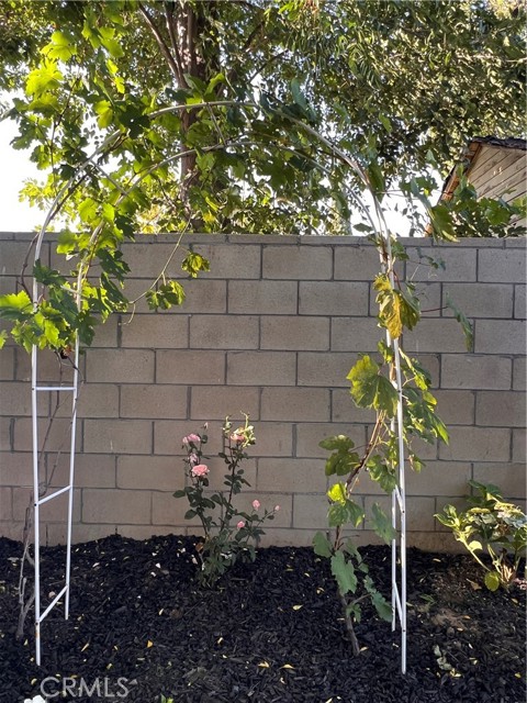 7327 N Loma Verde Avenue, Canoga Park CA: https://media.crmls.org/medias/af1d02dc-a25b-4242-a8f9-230f1c518379.jpg