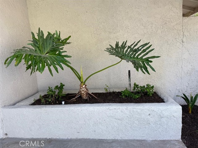 Detail Gallery Image 28 of 55 For 5105 Despacio, Laguna Woods,  CA 92637 - 2 Beds | 2 Baths