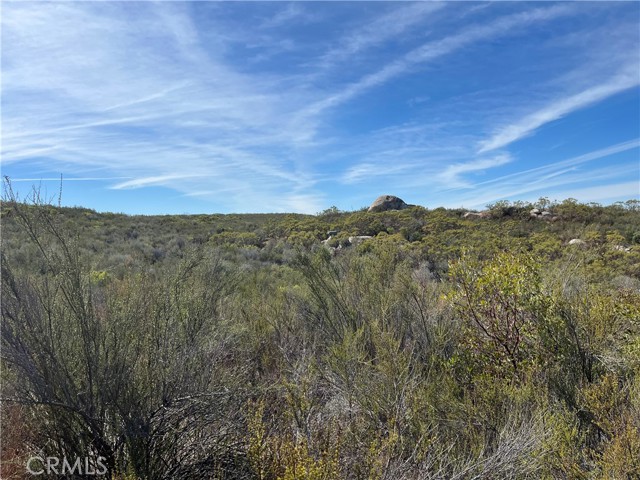 35250 Willow Creek Road, Hemet CA: https://media.crmls.org/medias/af223fdf-24fb-4d5b-b0f4-0016de4d84cd.jpg