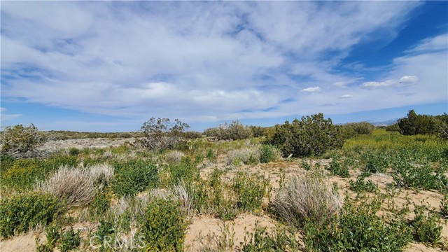 Detail Gallery Image 9 of 31 For 0 123rd St East Near Ave X8, –,  CA 93553 - – Beds | – Baths