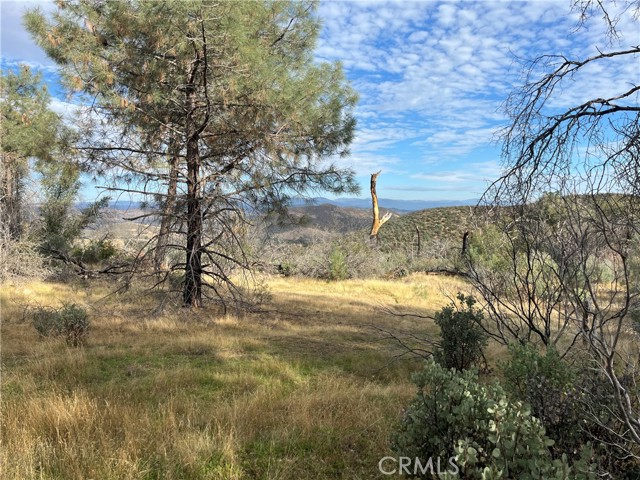 Detail Gallery Image 16 of 69 For 4934 Guadalupe Fire, Catheys Valley,  CA 95306 - – Beds | – Baths