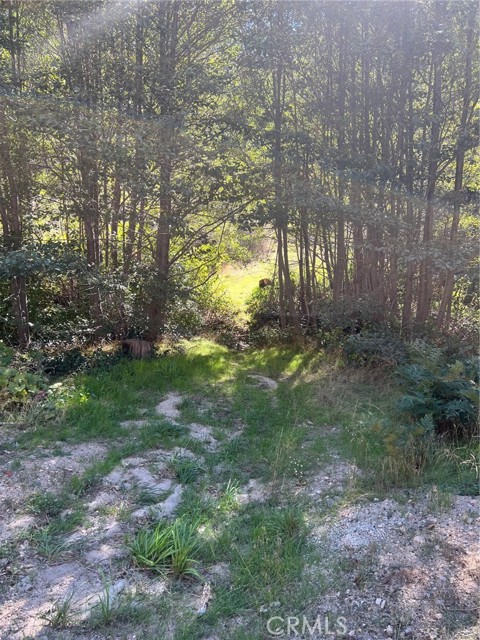 29855 Hook Creek, Cedar Glen, CA, 92321 29855 Hook Creek, Cedar Glen, CA, 92321