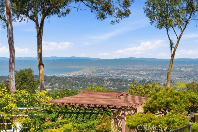 Image 58 of 66 For 100 Saddleback