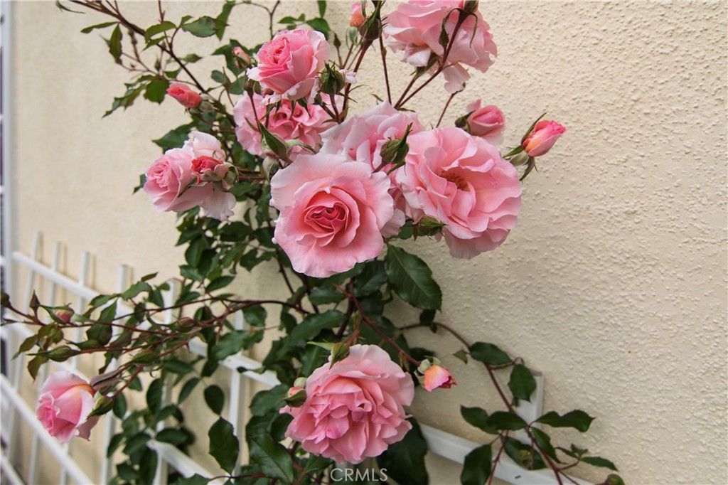 Af2b52d6 2fac 4c88 905e 6ddd76b49b73