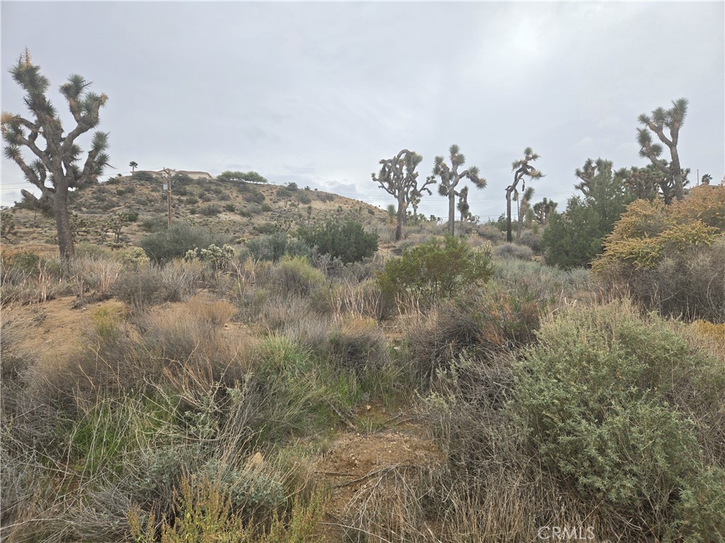 MLS #JT25260776 image #1