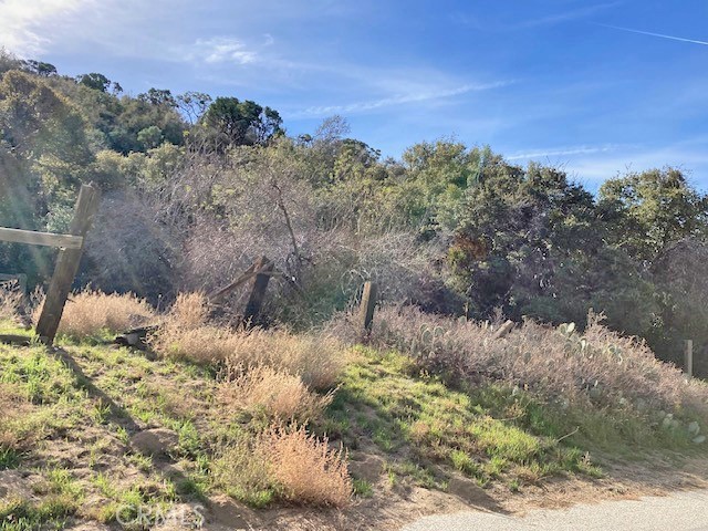 MLS #SR24004278 image #4