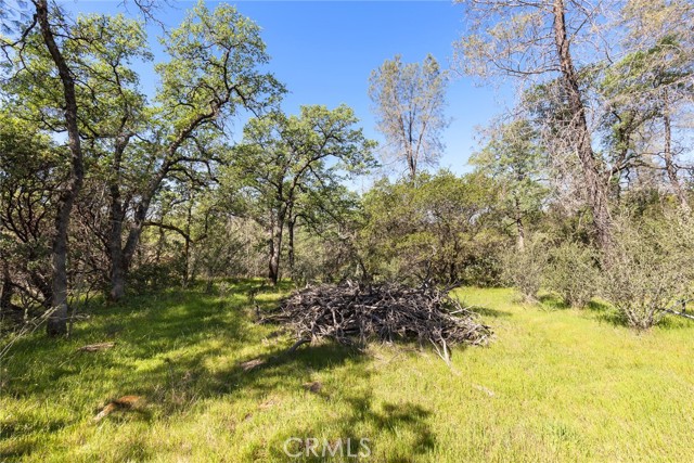 Detail Gallery Image 12 of 20 For 0 Louise, Oroville,  CA 95965 - – Beds | – Baths