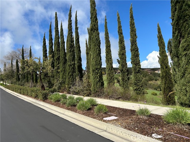 Front Image Thumbnail for CRTR25270978