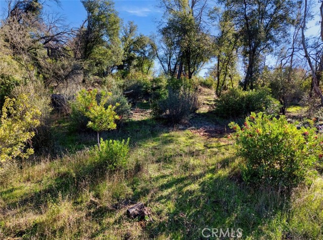 Detail Gallery Image 10 of 18 For 3522 Filmore Ave, Clearlake,  CA 95422 - – Beds | – Baths