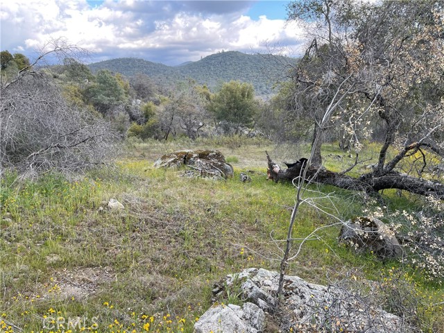 Detail Gallery Image 17 of 24 For 3786 Bronco Hollow Rd, Mariposa,  CA 95338 - – Beds | – Baths