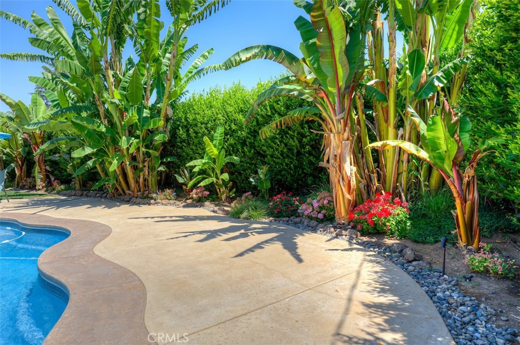 https://media.crmls.org/medias/af436ca8-9d3d-46e5-ba91-2b23876667f9.jpg?preset=X-Large