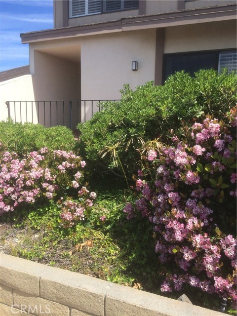 28125 Ridgepoint Court, Rancho Palos Verdes, California 90275, 3 Bedrooms Bedrooms, ,2 BathroomsBathrooms,Residential,Sold,Ridgepoint,SB17054827