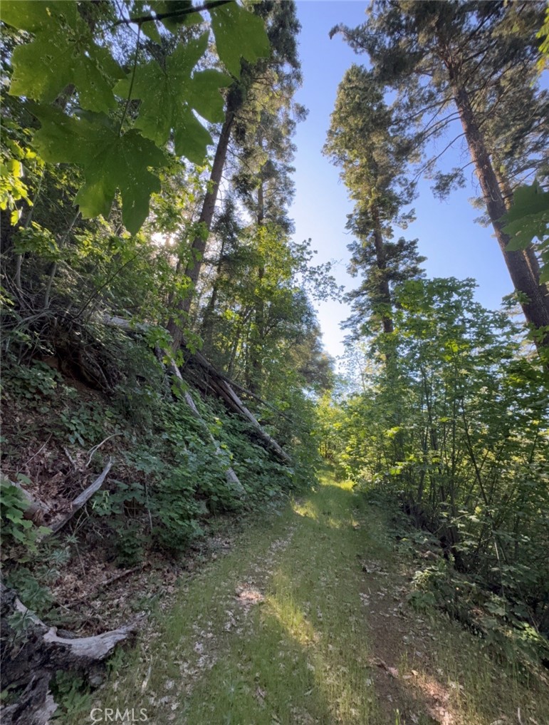 https://media.crmls.org/medias/af4c029f-db59-4b73-9230-6312a4d01cc2.jpg?preset=X-Large