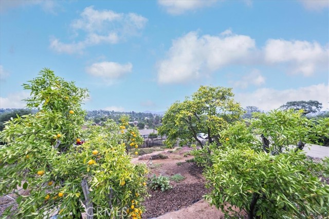Detail Gallery Image 46 of 75 For 3057 via Hermosa, Escondido,  CA 92029 - 3 Beds | 2 Baths